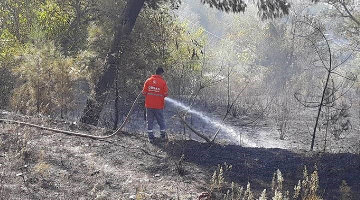 Osmaniye'de orman yangını: 50 dekar alan zarar gördü