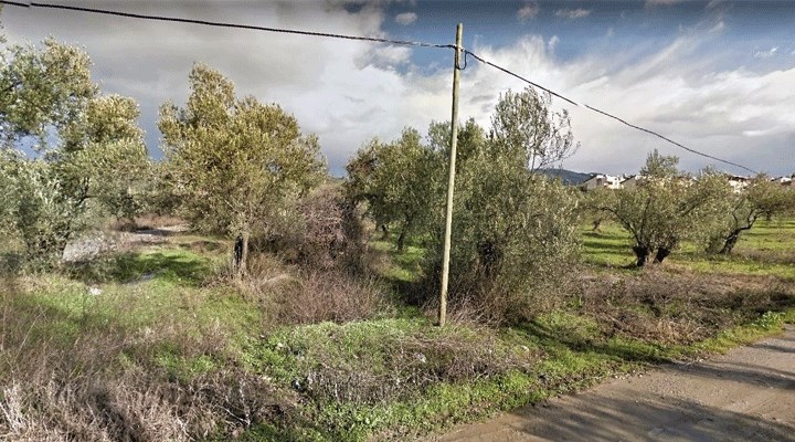 AKP’li belediye, villa izni verilen zeytinlik alanını satışa çıkardı