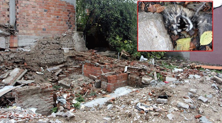 Edirne'de 15 kedinin ölü bulunmasına ilişkin soruşturma başlatıldı