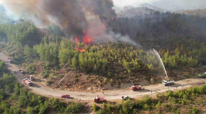 Manavgat orman yangını davasında beraat kararı