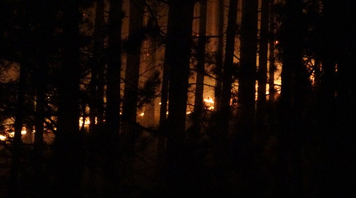 Kazdağları'nda yangın: Müdahale ediliyor