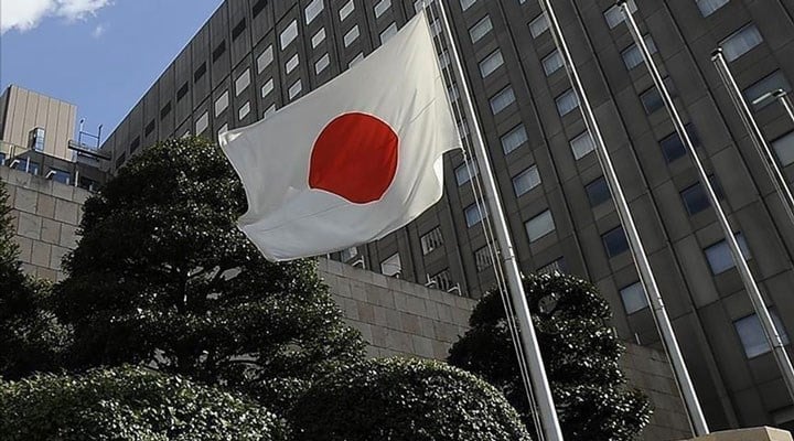 Japonya, 'kısırlaştırma' mağdurlarına tazminat ödeyecek