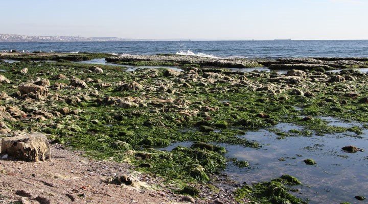 Kandilli Rasathanesi: Marmara Denizi'nde suyun çekilmesi deprem kaynaklı değil