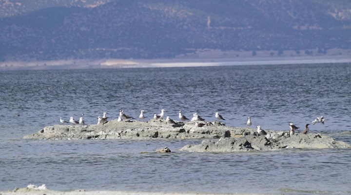 Salda’nın ardından hedef Burdur Gölü