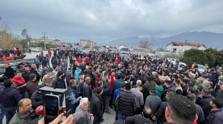 Çiftçiler Antalya'da karayolunu kapattı, domates ihracatının kısıtlamasını protesto etti
