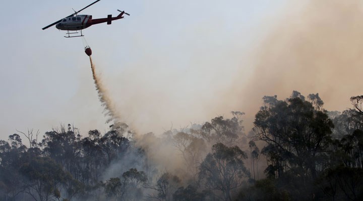 Avustralya'daki yangınlarda 2 bin hektardan fazla ormanlık alan yandı