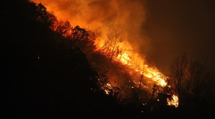 Trabzon Of'taki orman yangını yağmurun da etkisiyle söndürüldü