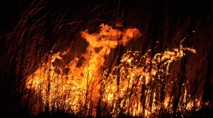 Mersin'deki Göksu Deltası'nda yangın: Arazi şartları nedeniyle yangına müdahale edilemiyor