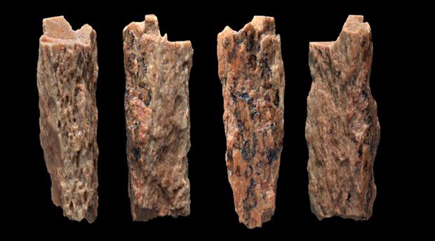 antik-insan-turlerinin-melezi-bulundu-502194-1.