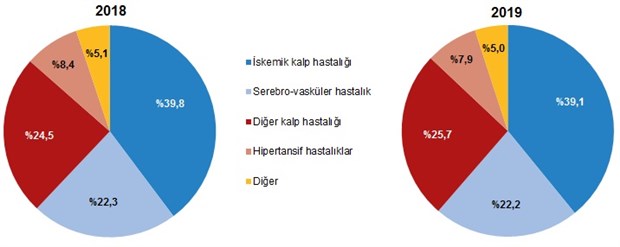 tuik-turkiye-deki-olum-ve-olum-nedeni-istatistiklerini-acikladi-748141-1.