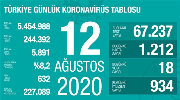 turkiye-de-koronavirus-kaynakli-can-kaybi-5-bin-891-e-ulasti-767950-1.