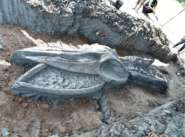 tayland-da-binlerce-yillik-balina-iskeleti-bulundu-810270-1.
