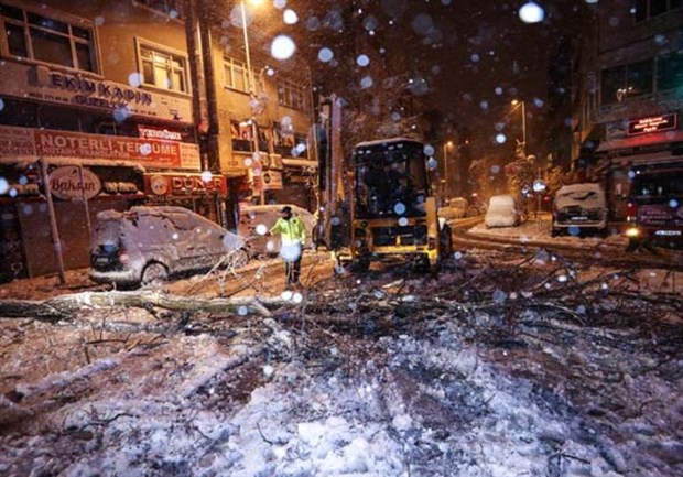 istanbul-da-kar-yagisi-nedeniyle-agaclar-devrildi-elektrikler-kesildi-841604-1.
