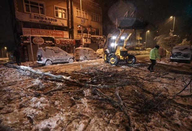 istanbul-da-kar-yagisi-nedeniyle-agaclar-devrildi-elektrikler-kesildi-841606-1.