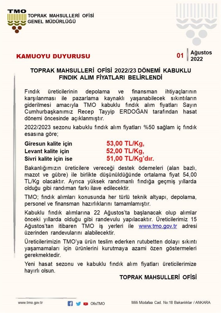 tmo-findik-buying-price-erdogan-in-announced-under-level-1046768-1.