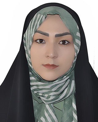 Zainab Ahmadi, Gazeteci