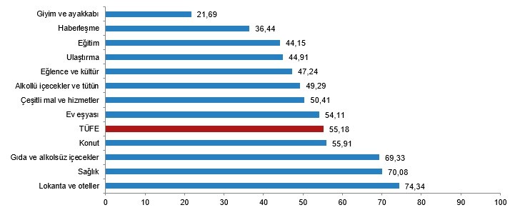 TÜFE ana harcama gruplarına göre yıllık değişim oranları (%), Şubat 2023 / Grafik: TÜİK