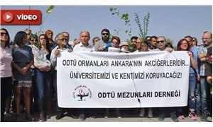 Destruction of trees on METU campus for construction of a road sparks reaction