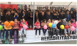 Kadıköy Belediyesi'nden sahipsiz hayvanlar için 'rehabilitasyon ve eğitim merkezi''