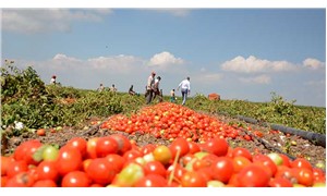 Türkiye tarımda neden ithalata bağımlı hale geldi?