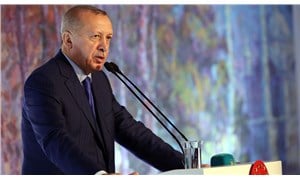 Erdoğan'dan termik santral yasasına veto açıklaması