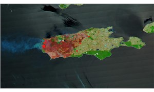NASA'nın uydu fotoğraflarına göre Kanguru Adası'nın üçte biri yandı
