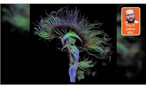 Sonsuzluğun haritalanması: İnsan Beyni Projesi