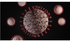 Yeni araştırma: Koronavirüs yüzeylerde 17 güne kadar yaşayabiliyor