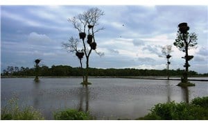 Kızılırmak Deltası Kuş Cenneti ‘kesin korunacak hassas alan’ ilan edildi