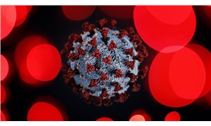 Japonya, koronavirüsün yayılma hızını videolu deneyle gösterdi
