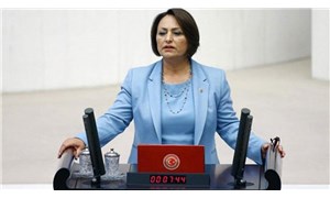 CHP'li Şevkin, mera alanlarının kullanımını Meclis gündemine taşıdı: Yandaş şirketlere mi veriliyor?
