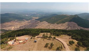 Ekonomi uğruna ormanlar yok ediliyor