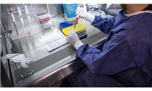 PCR testi şartı arayan ülkelere gidecek olanlar ücretli test yaptırabilecek