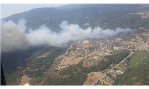 İzmirin Menderes ilçesinde orman yangını