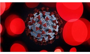 Araştırma: Covid-19u asemptomatik veya hafif atlatanlarda da güçlü T hücresi bağışıklığı bulundu
