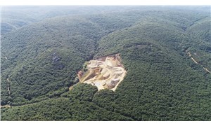 İktidarın mega projeleri, şirketlerin maden ocakları: Ormana, hayvana, suya düşmanlar