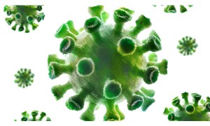14 yaşındaki öğrenci koronavirüsle savaşabilecek molekül buldu