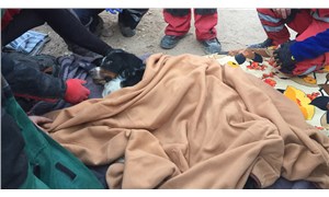 İzmir depreminde enkazda kalan 'Ares', 65 saat sonra kurtarıldı