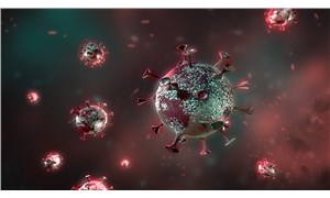 İngilterede mutasyona uğrayan koronavirüs araştırılıyor