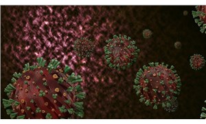 Prof. Dr. Murat Akova: Koronavirüsün mutasyona uğramasıyla bağışıklık oranı değişti