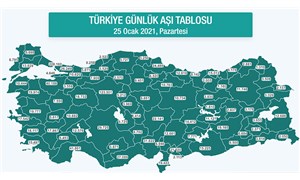 Türkiyenin aşı haritası erişime açıldı