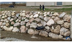 "Nif Çayı'na dökülen fabrika atık suları denetlenmezse köpekler hastalanmaya devam edecek"