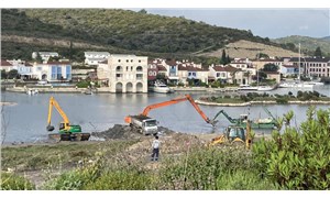 "Alaçatı Sulak Alanı'nda devam eden inşaatlar durdurulsun"