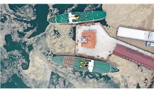 Bilim insanları deniz salyası tehdidini incelemek için Marmaraya açıldı: "20 yıl önceki yoğunluktan çok farklı"