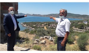CHP'li Özcan uyardı: Güllük Körfezinde de deniz salyaları meydana gelecek
