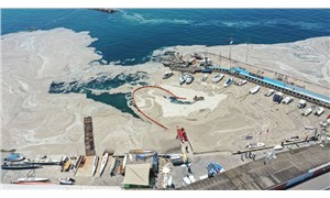 Marmara Denizi yüzeyinde müsilaj temizliğine başlandı: Bakan’dan açıklama, YÖK’ten toplantı kararı