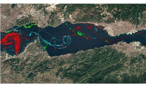 Marmara Denizindeki müsilajın yoğunluk haritası çıkarıldı