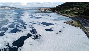 Tarihi Gelibolu Yarımadası sahilleri müsilaja teslim