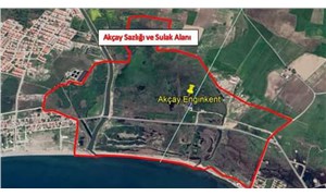 Akçay Sazlığı ve Sulak Alanı ranta açılıyor: En az 60 bin metrekarelik kısmına villa projesi inşa edilecek