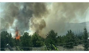 Atatürk Orman Çiftliği arazisinde yangın